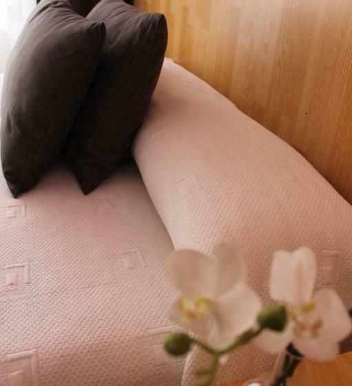 Standard-huone Parveke, Hostal Regina