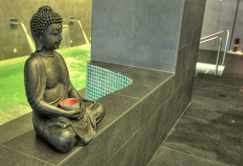 اتاق استاندارد با دسترسی به اسپا, Spa Sinagoga