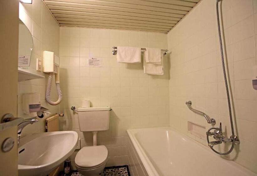 Номер Economy Индивидуальный, Aktivhotel Weisser Hirsch