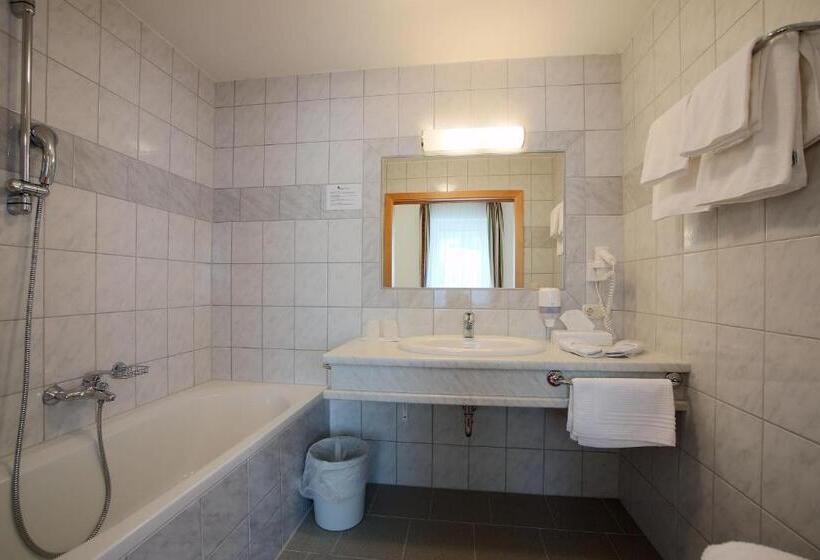 Полулюкс, Aktivhotel Weisser Hirsch