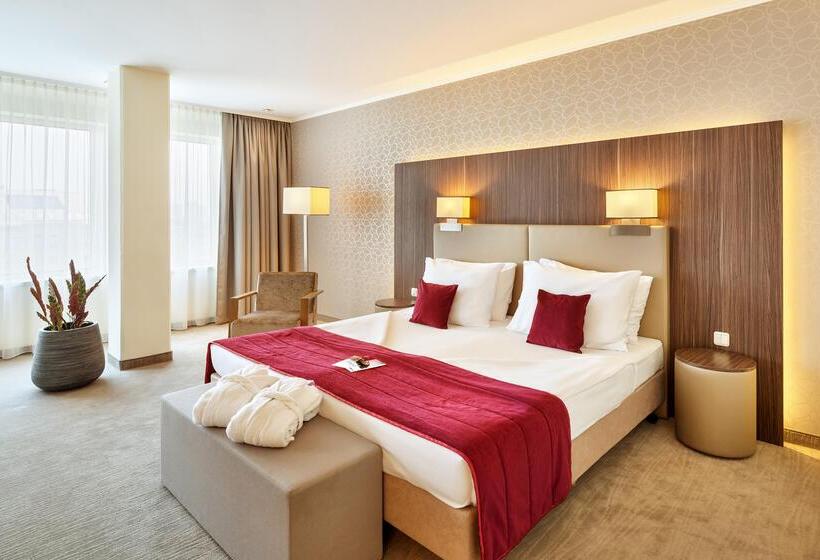 Полулюкс, Schillerpark Linz, A Member Of Radisson Individuals