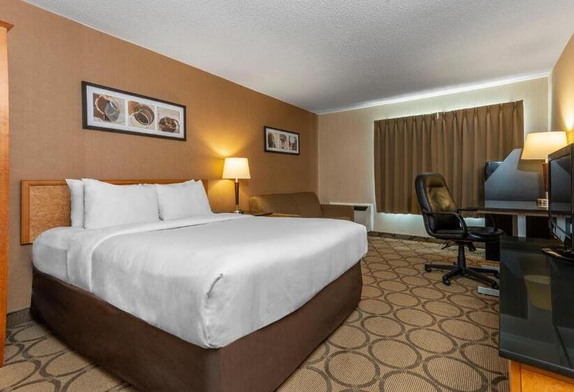 标准间, Comfort Inn