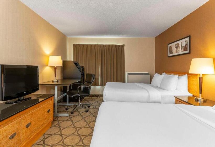 四人标准间, Comfort Inn