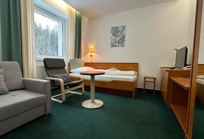 Семейный Номер, Interhotel Montana