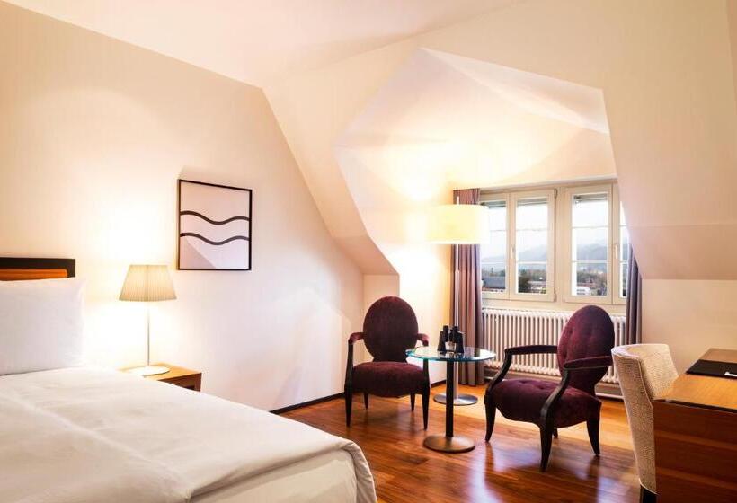 豪华单人间, Bellevue Palace Bern