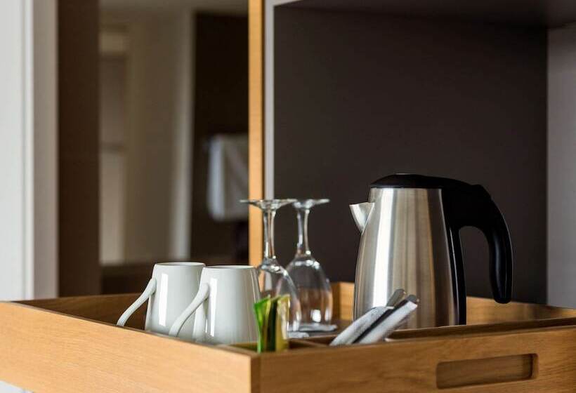 Классический Номер, Pullman Basel Europe