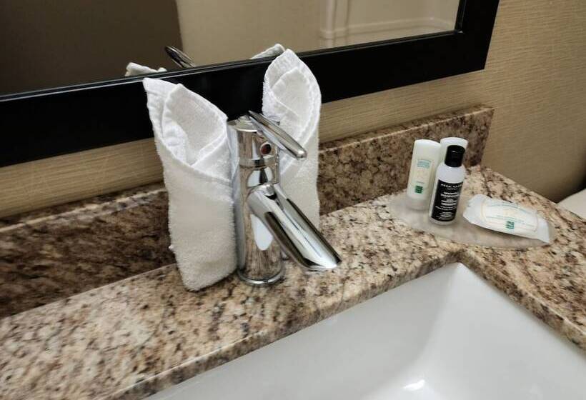 带2个双人床的标准工作室, Quality Inn