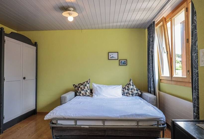 Номер Стандарт, Seehofarosa