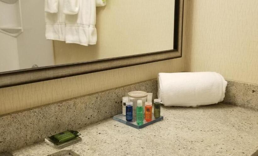 Номер Премиум, Radisson Hotel Sudbury