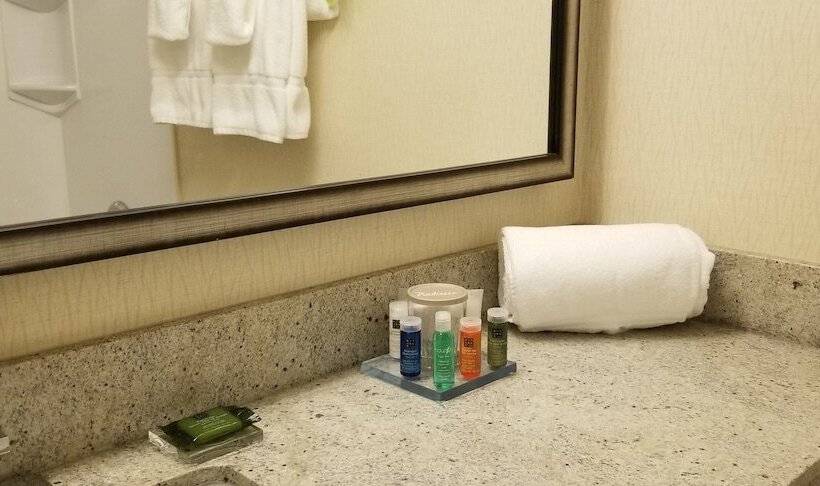 Номер Премиум, Radisson Hotel Sudbury