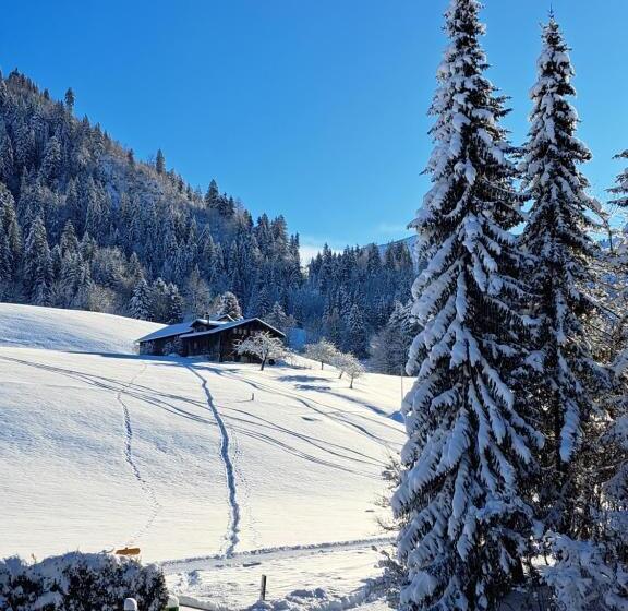 اتاق راحتی یک تخته, Le Grand Chalet Gstaad