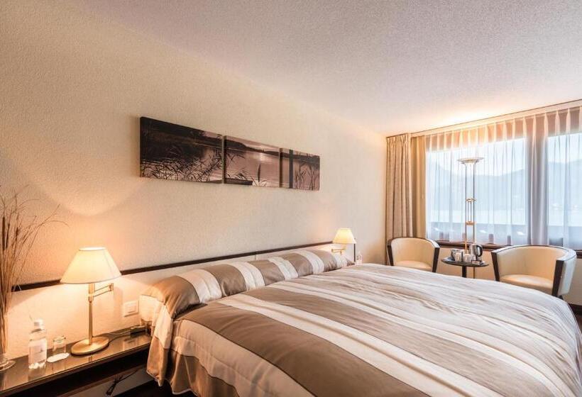 اتاق استاندارد با چشم‌انداز شهر, Seehotel Sternen