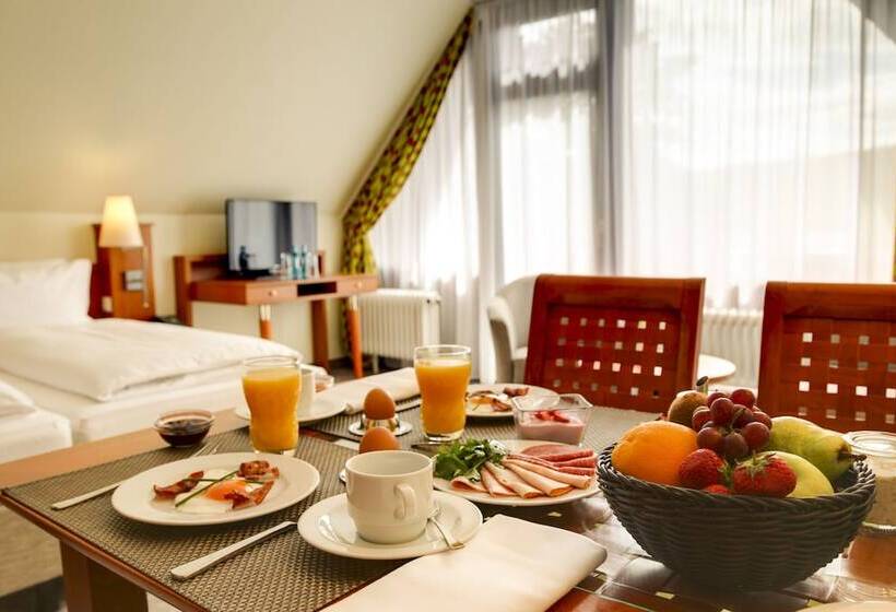 Номер Стандарт, H+ Hotel Willingen