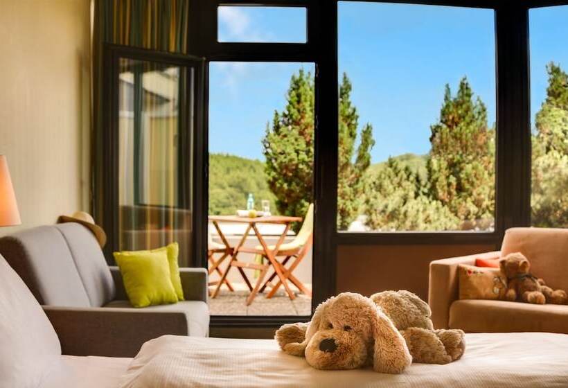 Номер Стандартный с Видом, H+ Hotel Willingen