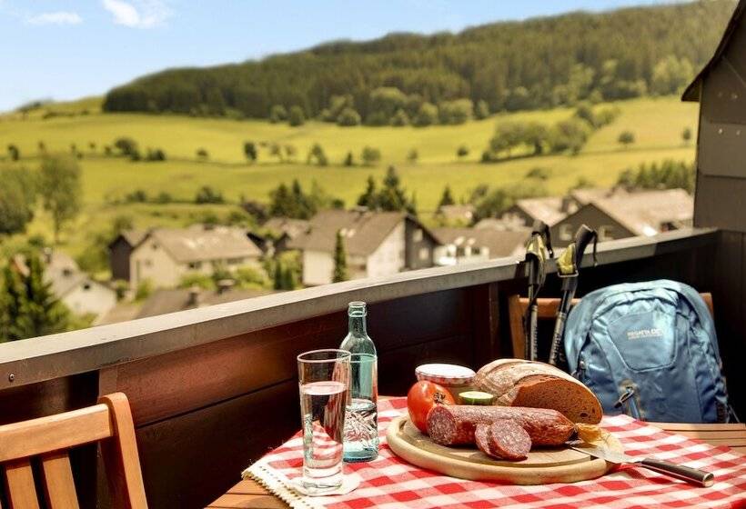 Номер Стандартный с Видом, H+ Hotel Willingen