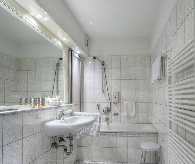 컴포트 싱글 룸, Waldhotel Sonnenberg