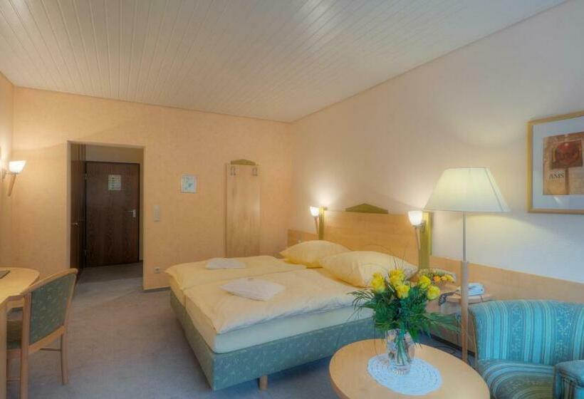 스탠다드 룸, Waldhotel Sonnenberg