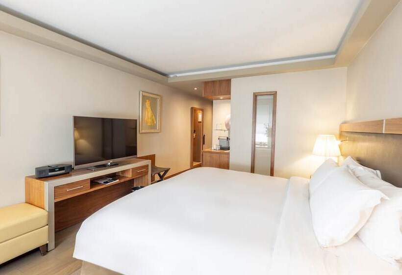 اتاق سوپریور, Sofitel Lyon Bellecour