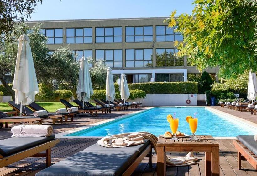 行政三人间, Alexander Beach Hotel & Spa