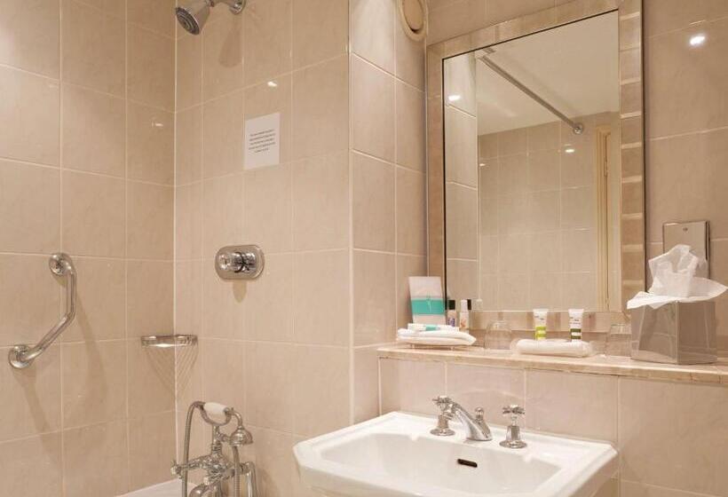 Номер Стандарт Вид на Реку, Mercure London Stainesuponthames