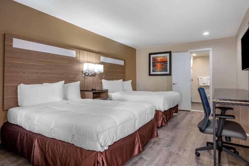 Suite Junior, Hassler Roma