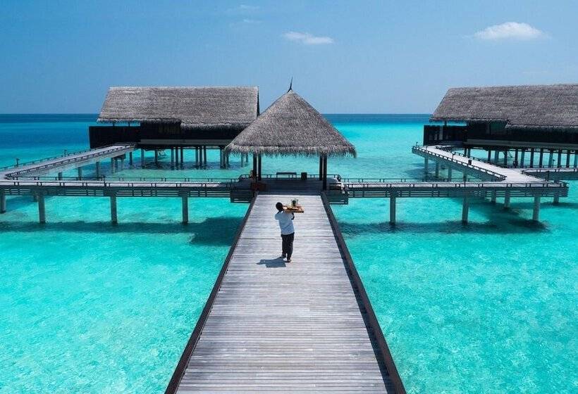 ویلای یک اتاق خوابه با استخر شنا, One&only Reethi Rah