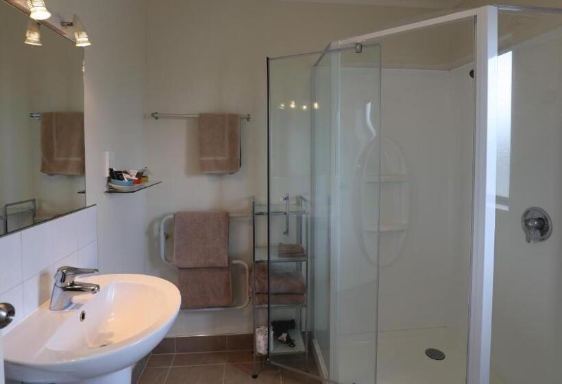 Апартаменты Премиум 1 Спальня, BK's Counties Motor Lodge