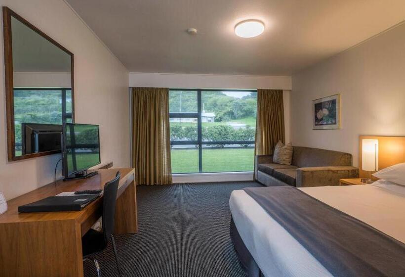 Студия Стандарт, The Ashley Hotel Greymouth