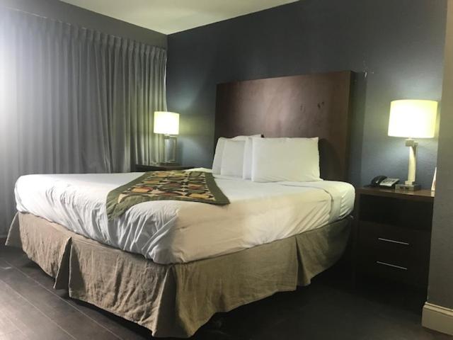 キングサイズベッドのスタンダードルーム, Alamar Resort Inn