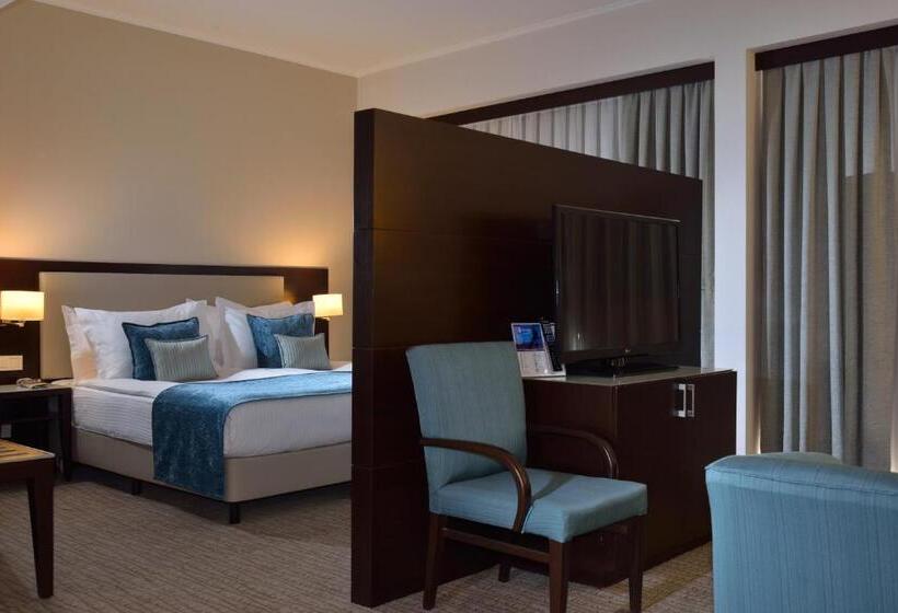 سوییت جونیور با چشم‌انداز شهر, Radisson Blu  Ankara