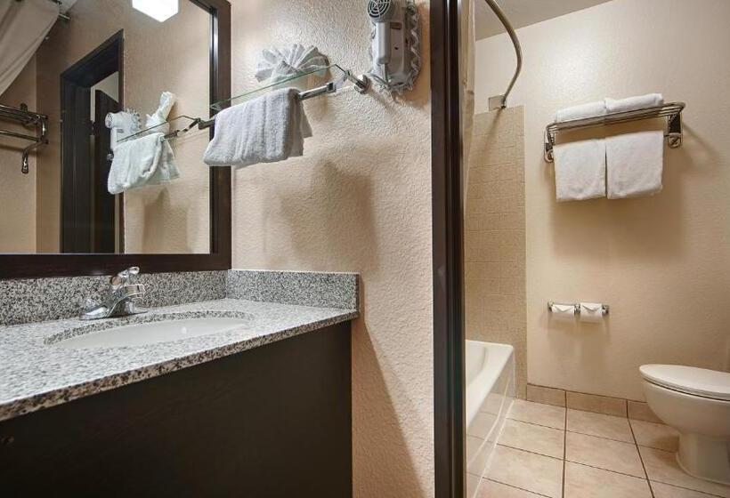 اتاق استاندارد با تخت بزرگ, Best Western Mccarran Inn