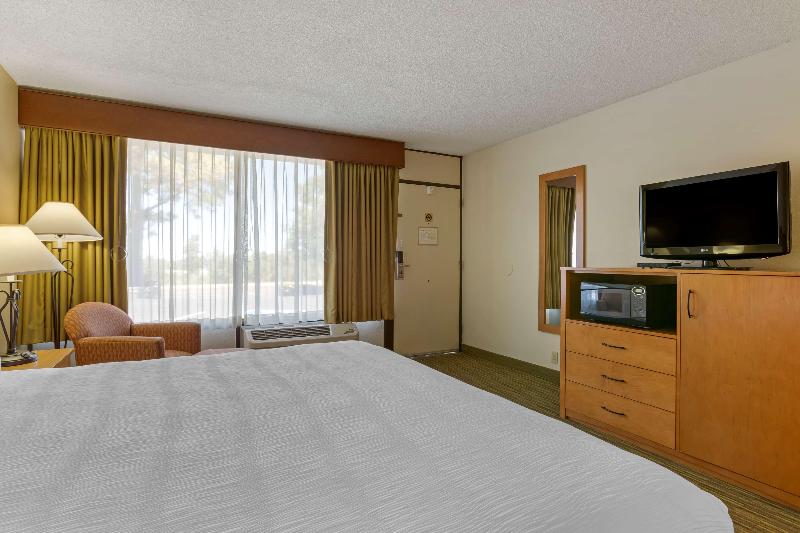 스탠다드 룸 킹사이즈 침대, Best Western Paint Pony Lodge