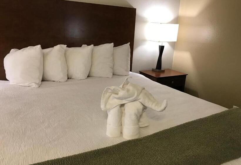 스탠다드 룸 킹사이즈 침대, Dinosaur Inn & Suites
