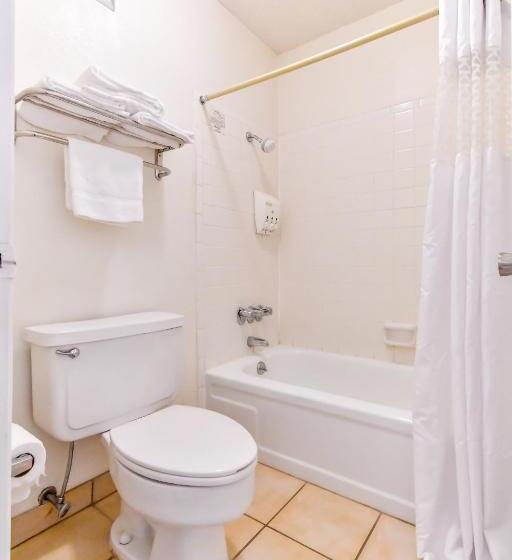プレミアムルーム, OYO Hotel Tyler Lindale