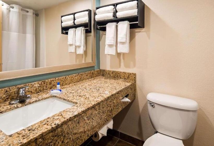 디럭스 스위트 킹 침대, Holiday Inn & Suites Columbia Ne   Ft Jackson Area By Ihg