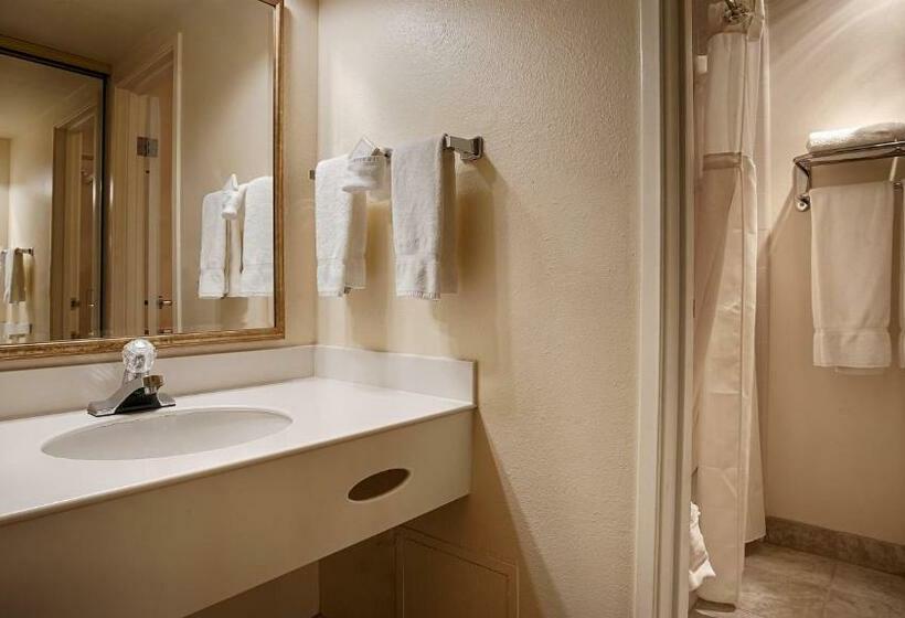 带大床的标准间, Best Western Plus Royal Oak
