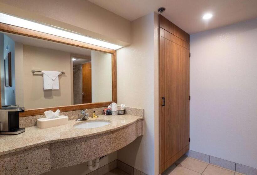 带双人大床的行政管理套房, Best Western Plus Saddleback Inn And Conference Center