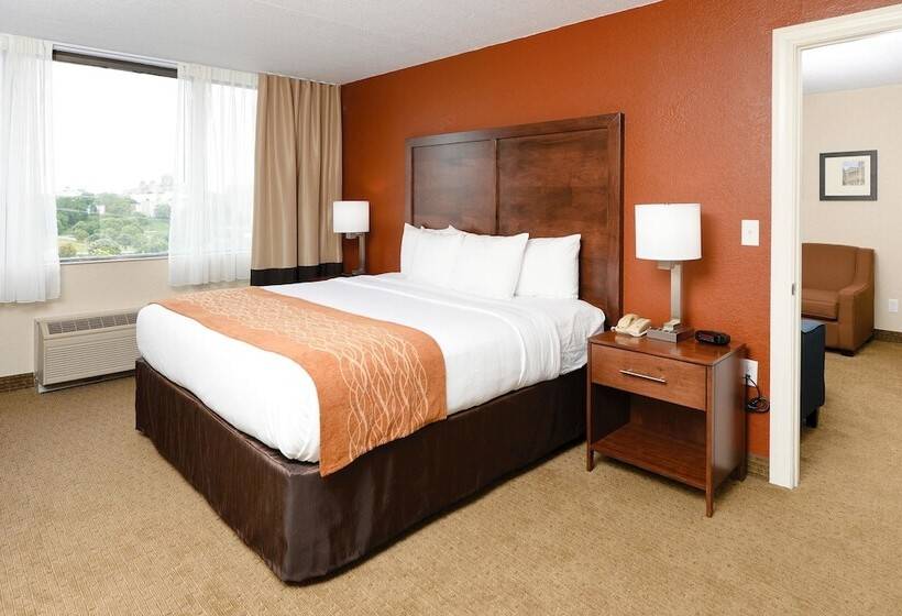 스탠다드 룸 더블 침대, Comfort Inn & Suites Event Center