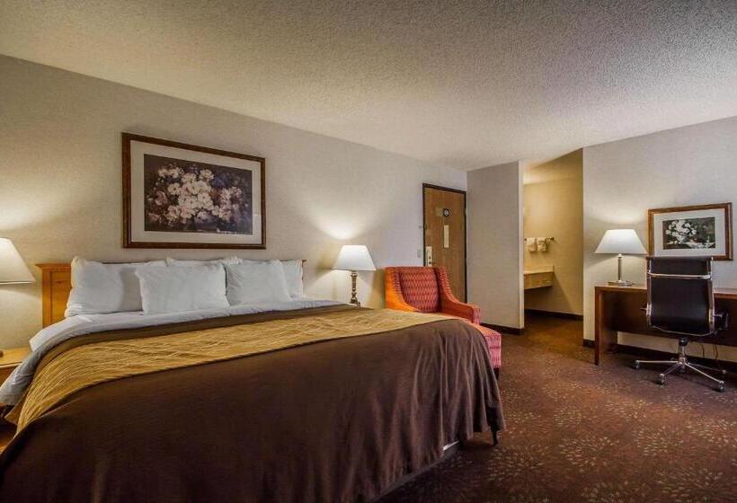 Стандартный Номер Кровать Кинг, Comfort Inn
