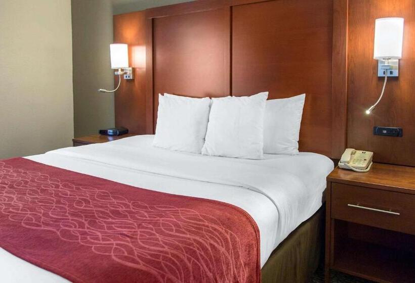 סוויטה מותאמת לאדם עם מוגבלויות, Comfort Inn & Suites San Francisco Airport North