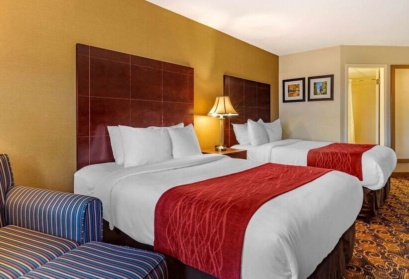 Номер Стандарт 2 Двуспальные Кровати, Comfort Inn Rockland  Boston