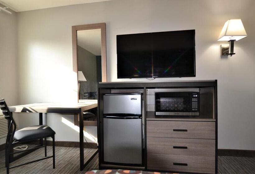 Номер Стандарт, Countryside Inn & Suites Omaha East Council Bluffs Ia