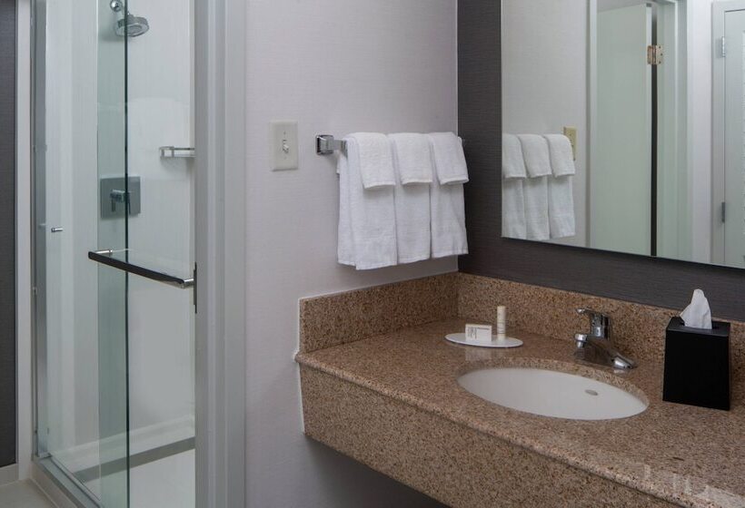 חדר סטנדרט שתי מיטות זוגיות, Courtyard By Marriott Memphis East/park Avenue