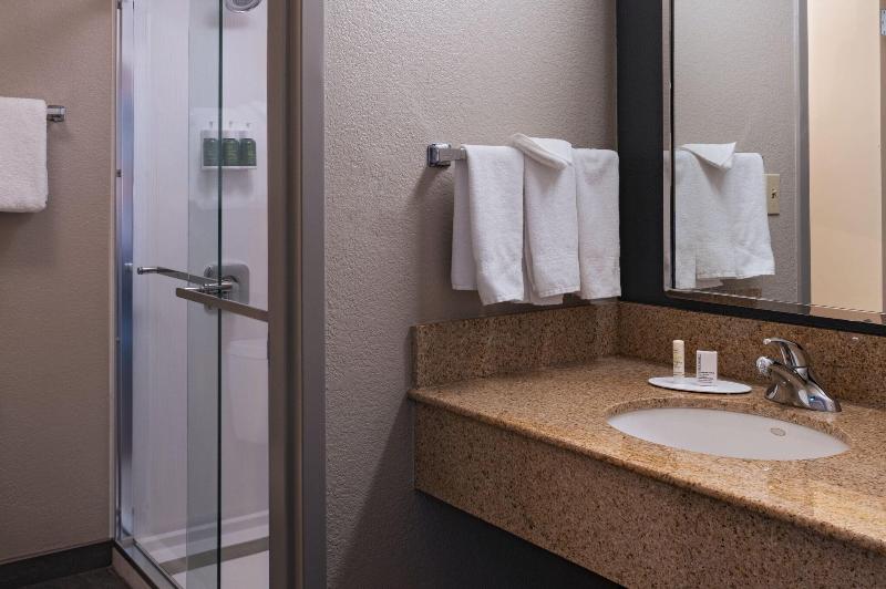 Büyük Çift Kişilik Yataklı Standart Oda, Courtyard By Marriott San Antonio Airport