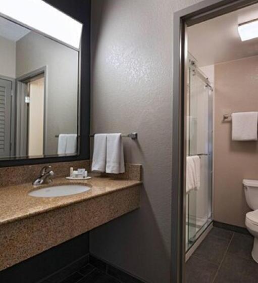 带大床的套房, Courtyard By Marriott San Antonio Medical Center