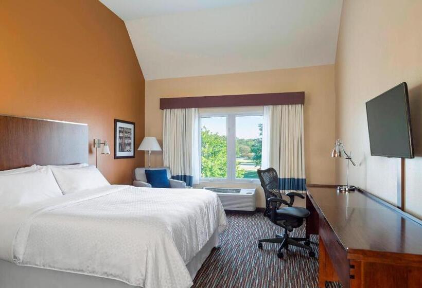 Deluxe Værelse King Size Seng, Four Points By Sheraton Buffalo Grove