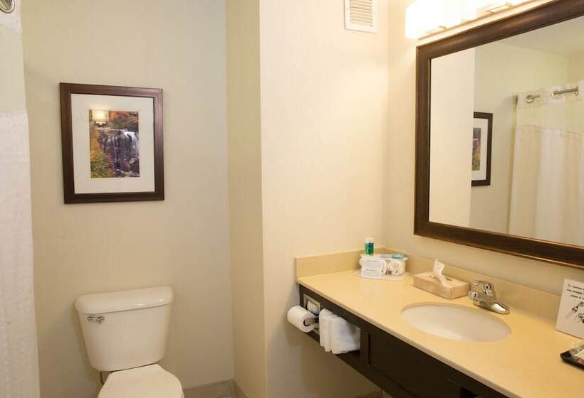 Люкс Адаптированный для Инвалидов, Holiday Inn Express Hotel & Suites Cherokee Casino, An Ihg