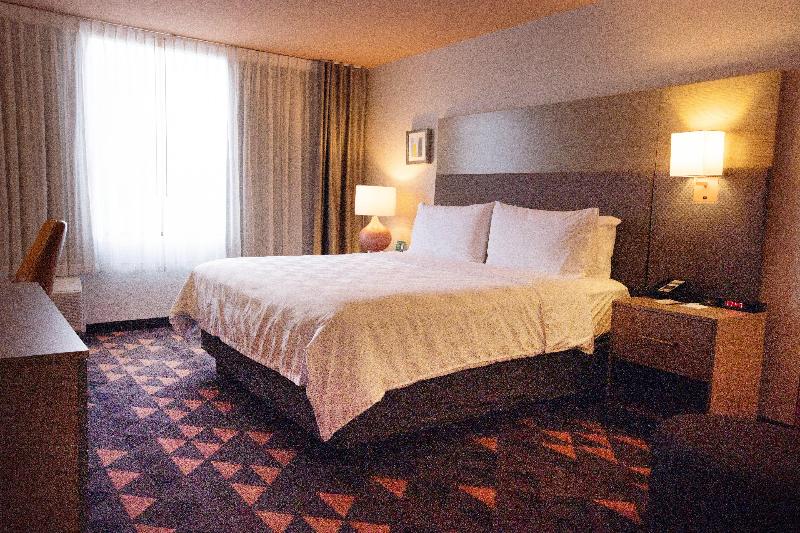 Cameră Executive Pat King Size, Holiday Inn Houston Hobby Airport, An Ihg