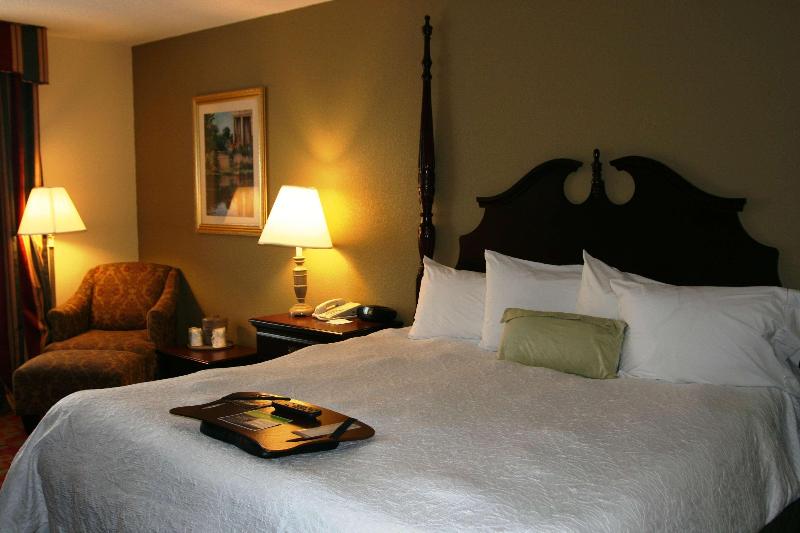 Cameră Standard Pat King Size, Holiday Inn Houston Hobby Airport, An Ihg