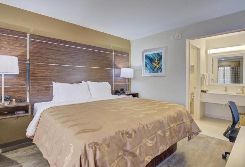 Люкс Deluxe Кровать Кинг, Quality Inn & Suites
